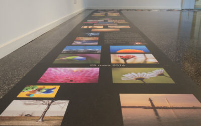 Exposition « Un clic, un jour, un an »